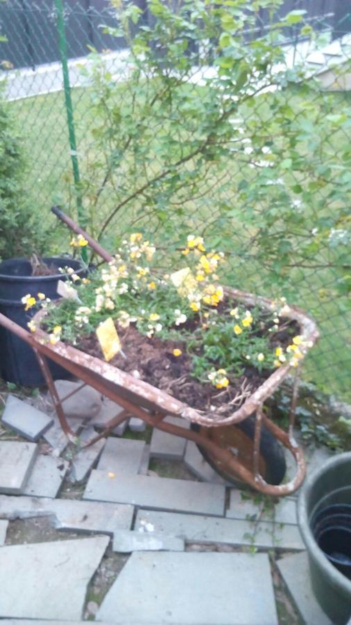 B & B Ametista Bergamo Ponteranica Buitenkant foto